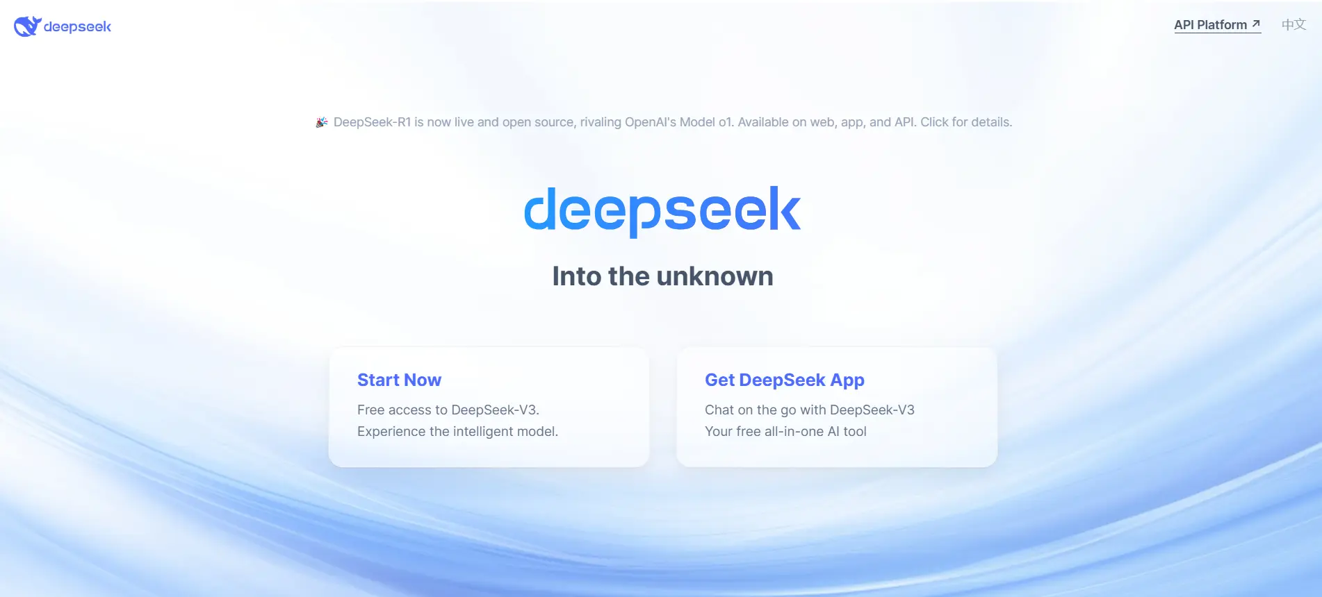 Deepseek home page