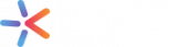 codevian Technology logo